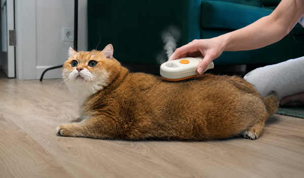 Gently Brush