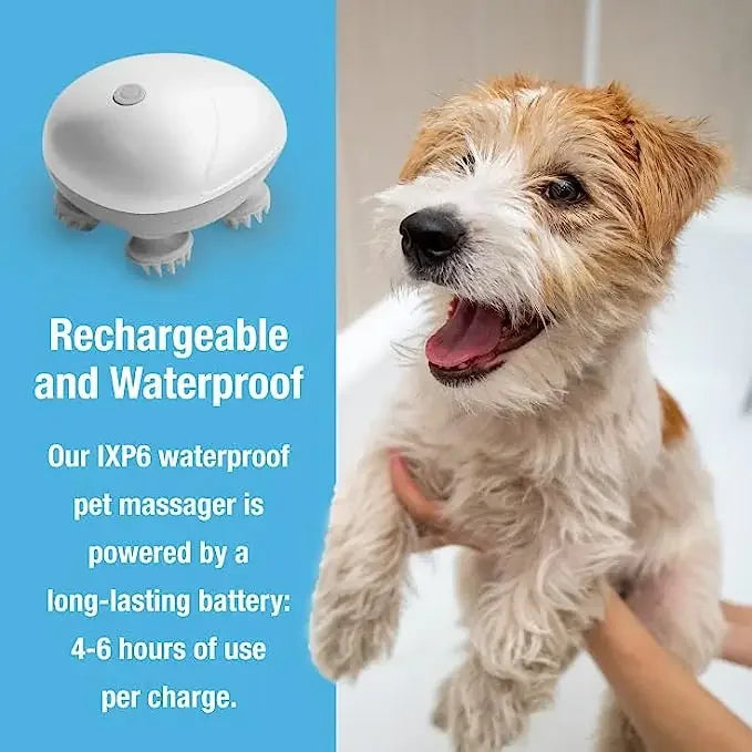 Electric Pet Scalp Massager – Handheld Cat & Dog Relaxer