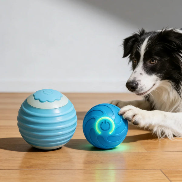 Blue automatic cat toy ball with cloud top and paw-activated chase rope