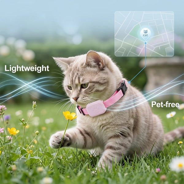 Cat wearing a pink Pet GPS tracker collar with a pale pink tracker module