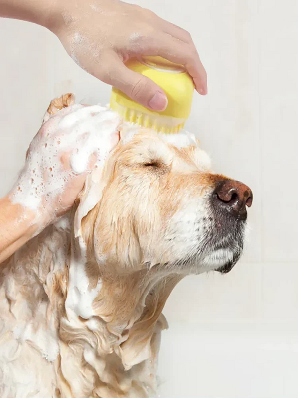 Brush & Clean